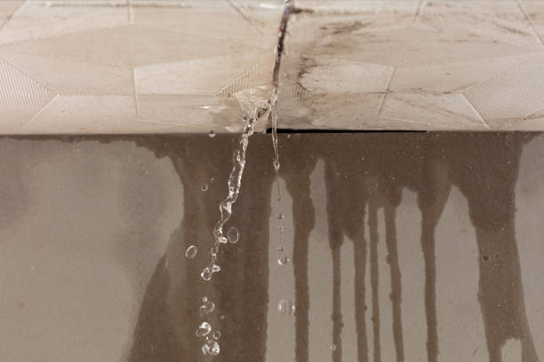 Professional Water Damage Repair technician working in Burleson, TX